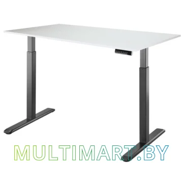 Стол для работы стоя ErgoSmart Electric Desk 1380x800x18 мм (альпийский белый/черный)
